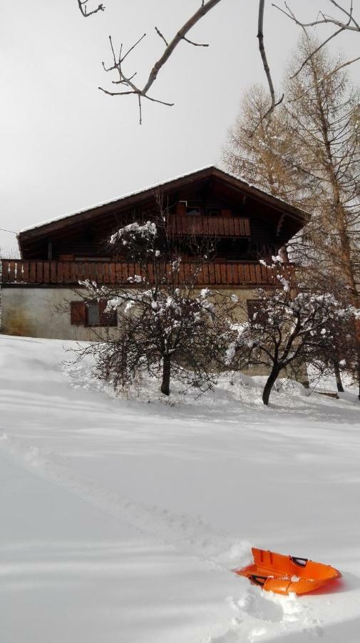 Bel Appartement Au Rez De Chaussee D'Un Chalet Jarrier Dış mekan fotoğraf