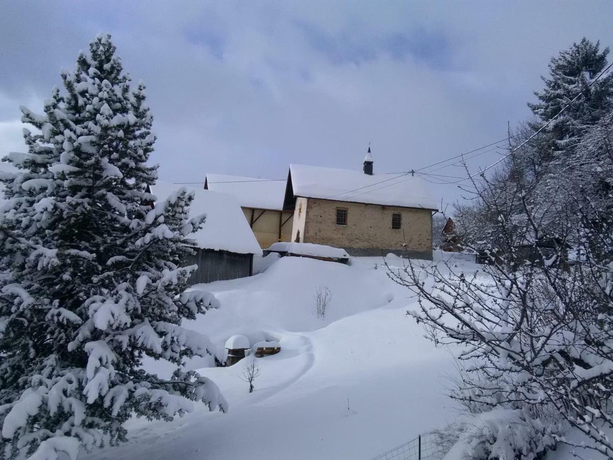 Bel Appartement Au Rez De Chaussee D'Un Chalet Jarrier Dış mekan fotoğraf